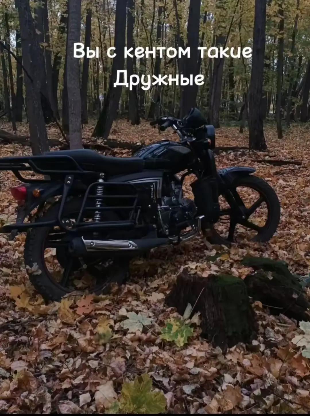 @Rodion_Ufa102