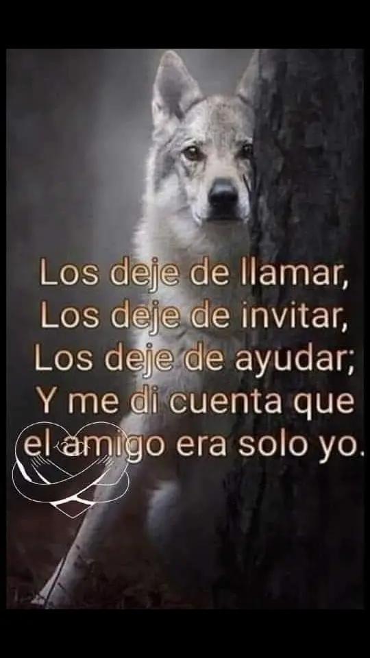 @El rincón del Alma 💗