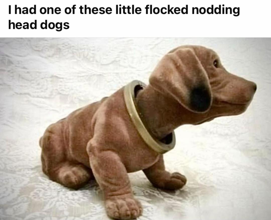 @inobest6