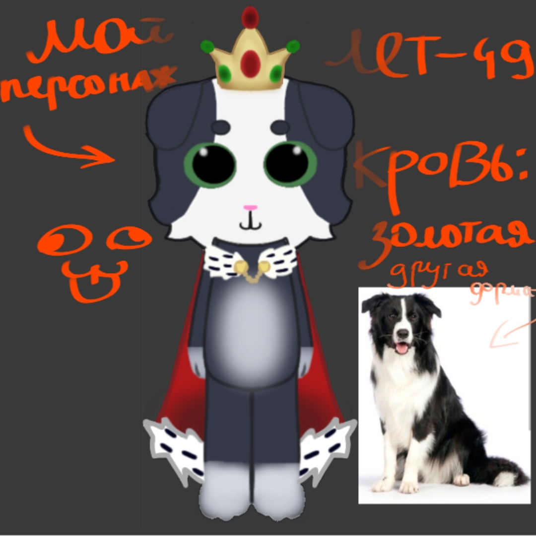 @собака Лейси👑|||🐶✅🐱✅