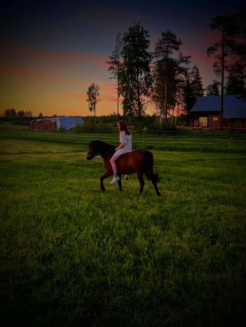 @Ponirannan talli🇫🇮🐎