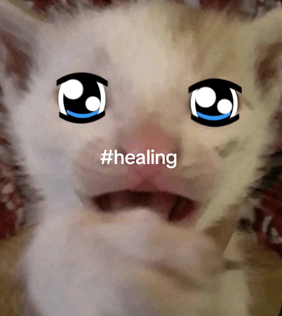 @๐ฅ๐ฅ๐ฃTaph๐ฃ๐ฅ๐ฅ