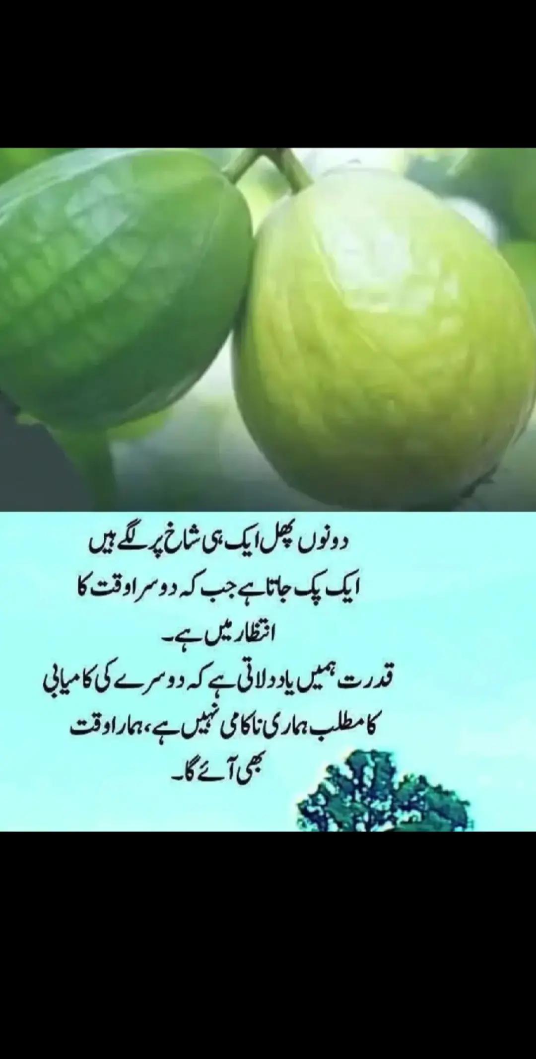 @Muhammad hussain