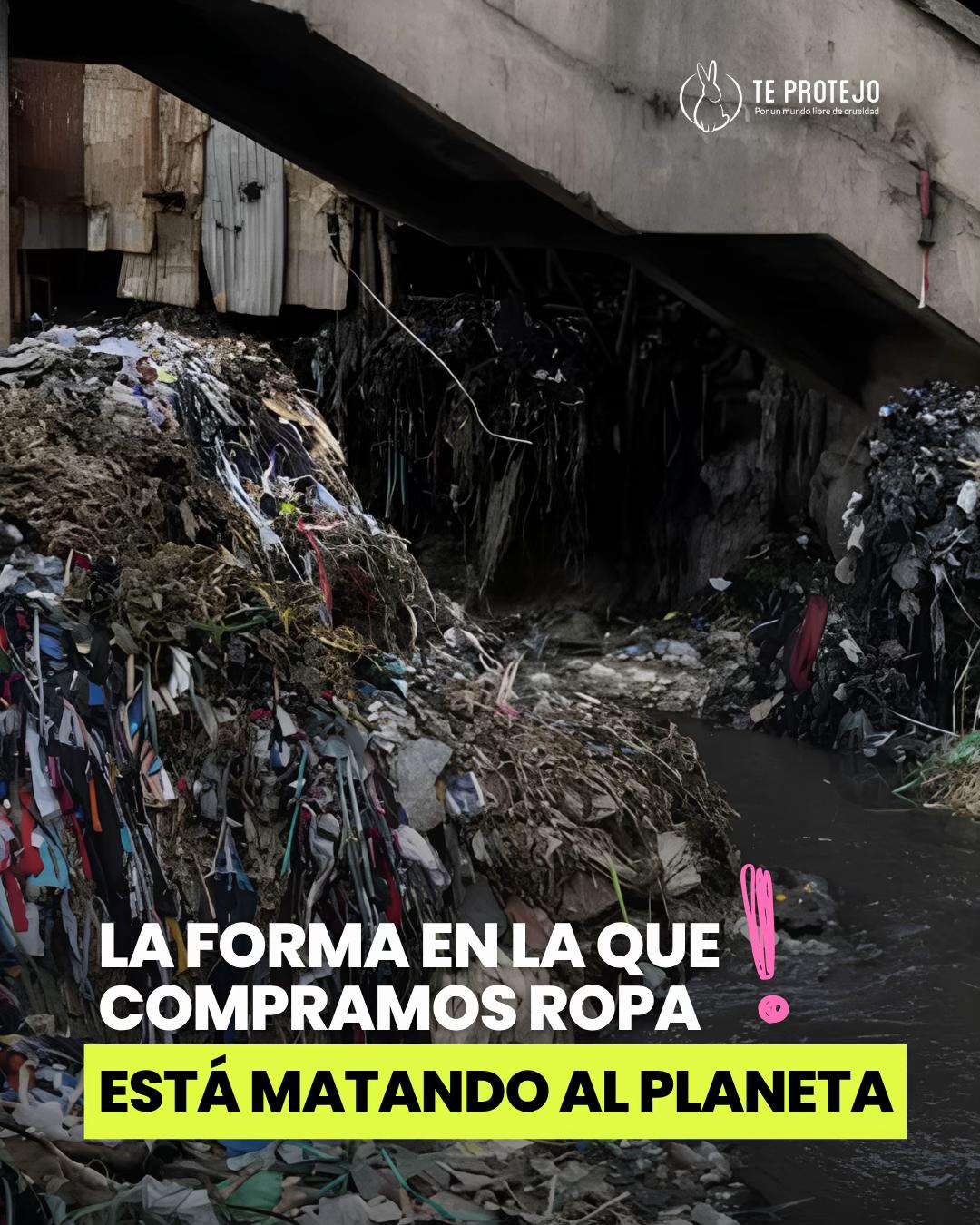 @Te Protejo