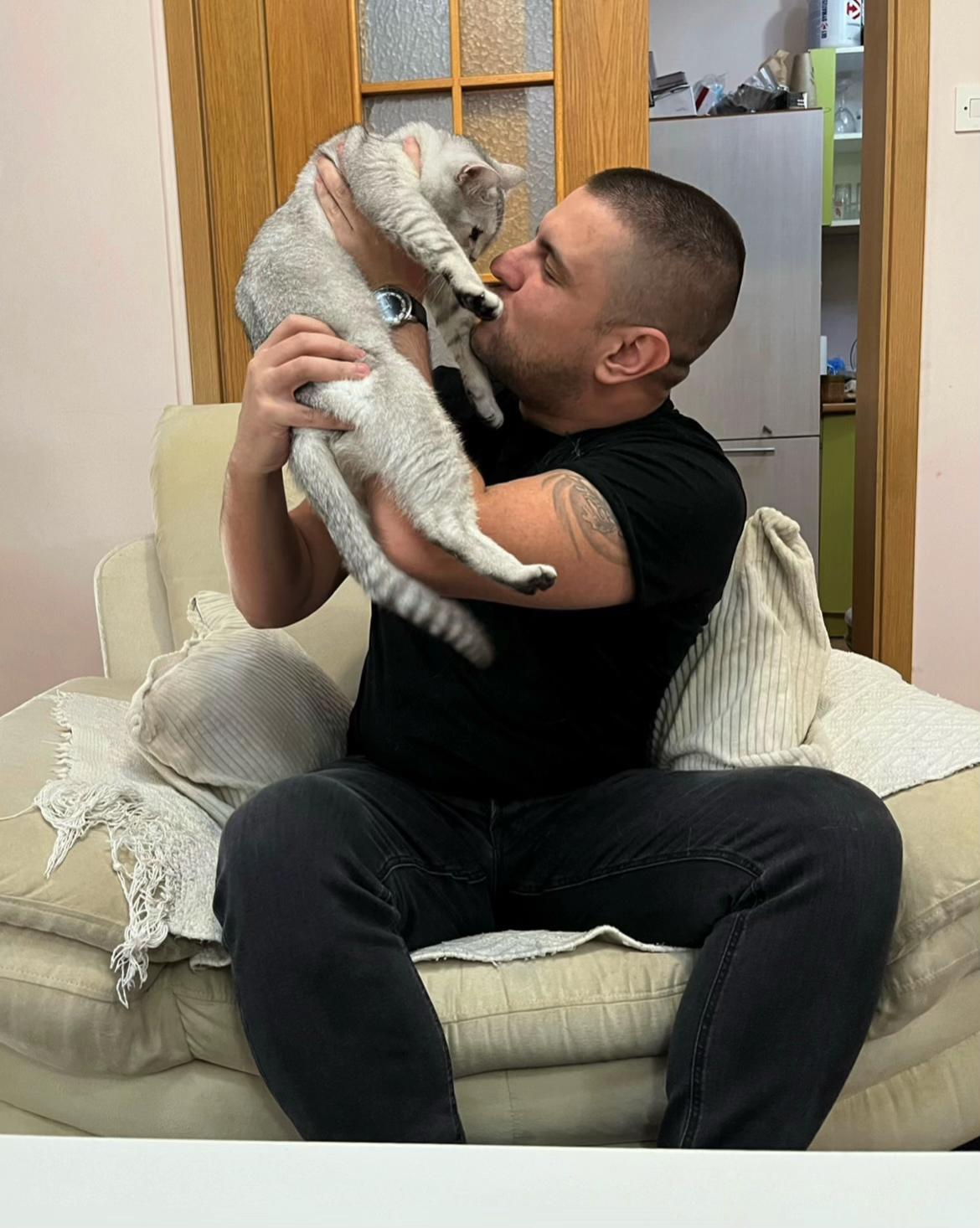 @British Cat Frendi 🐈
