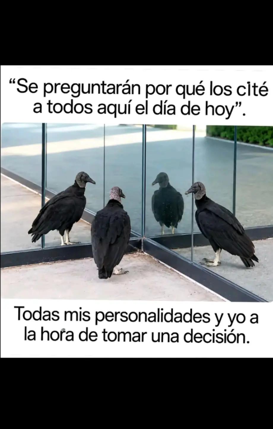 @cy