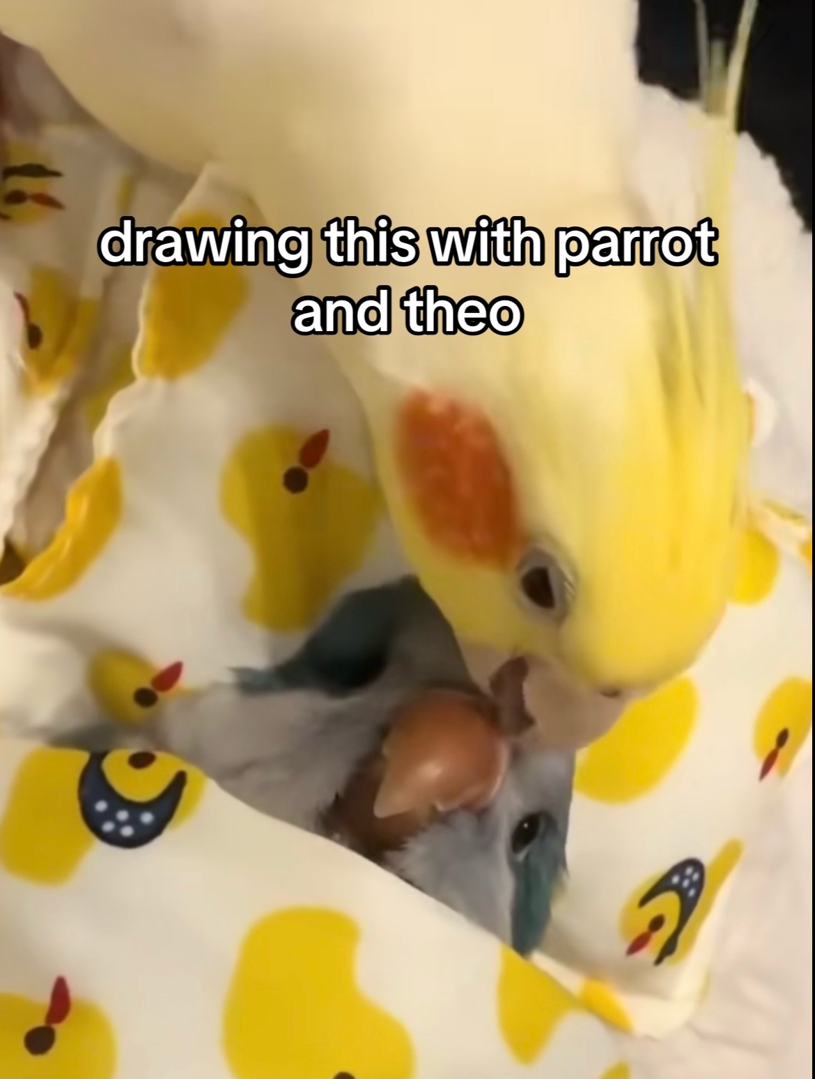 @lovedove