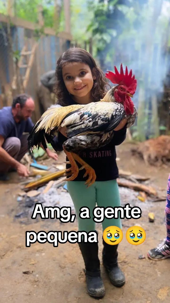 @VALLEN BELLINI