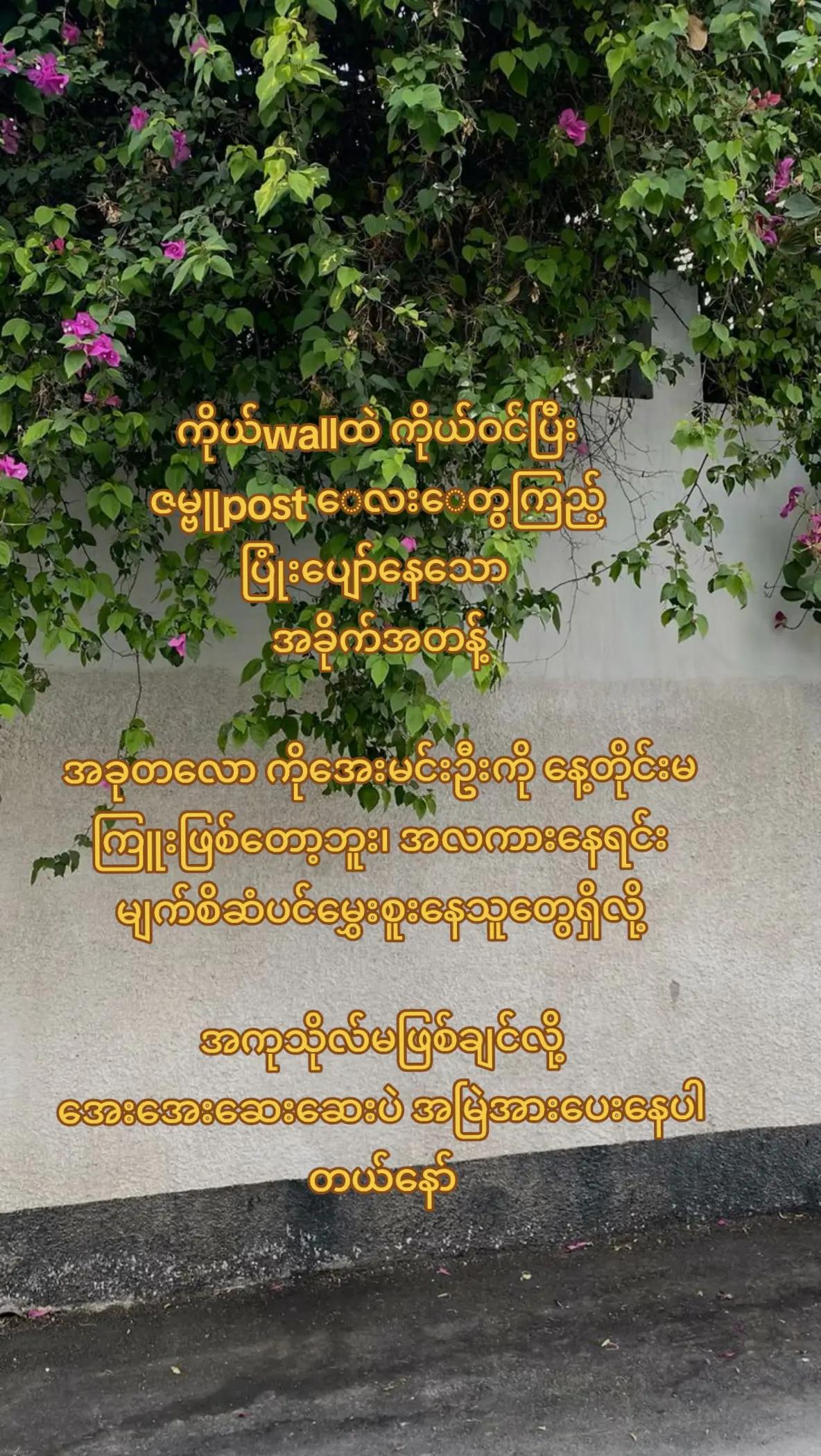 @Shwe Boke