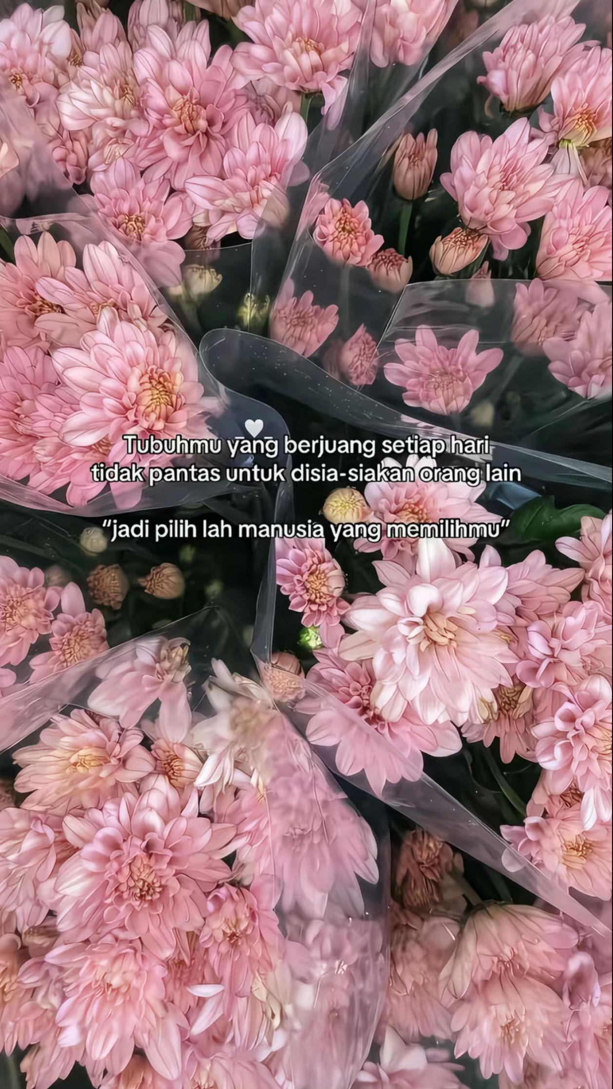 @Sofia Isabela
