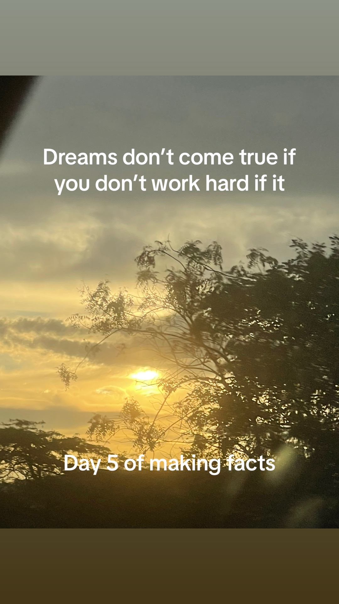 @He\him