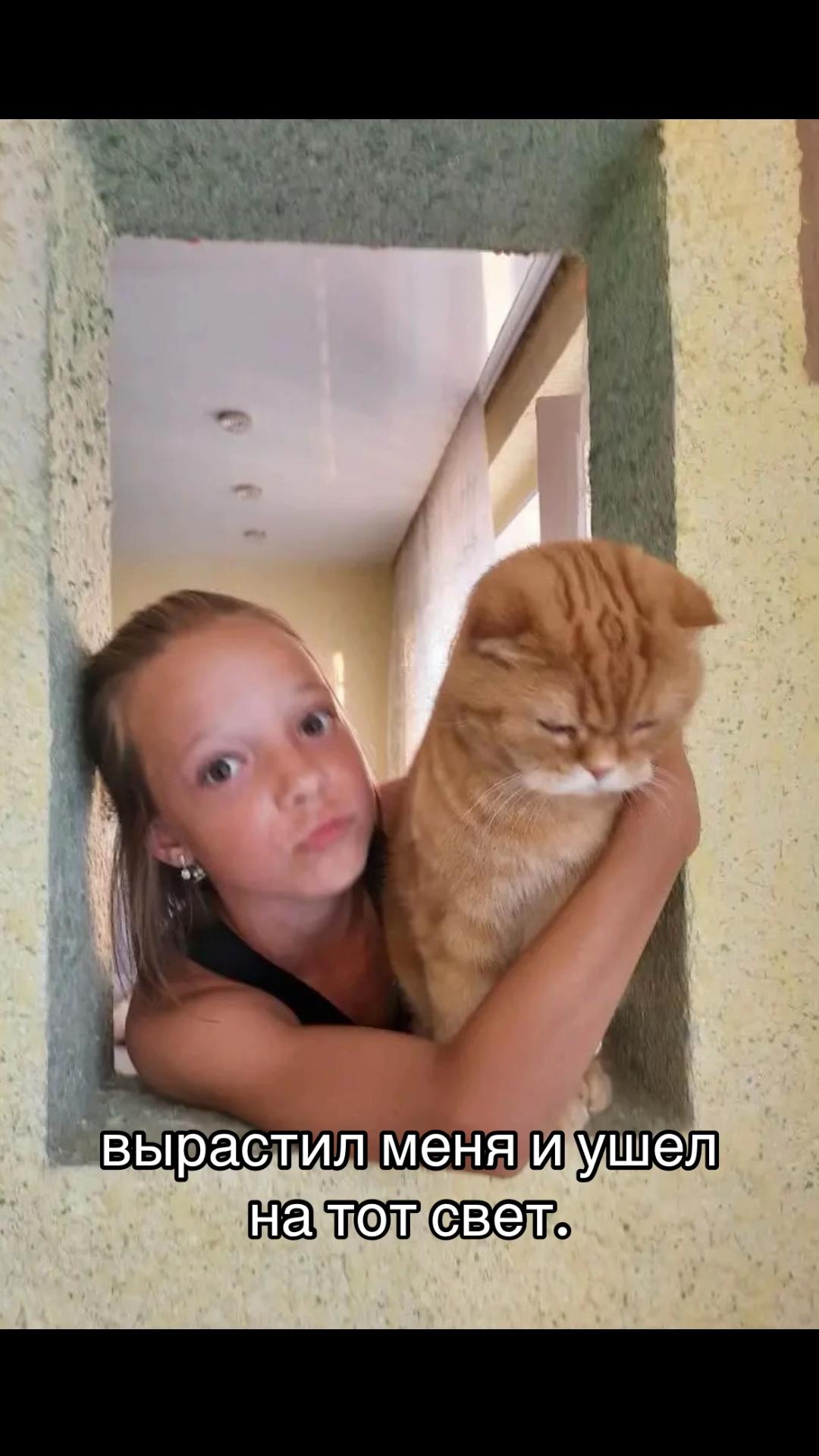 @мини брюнетка🐾