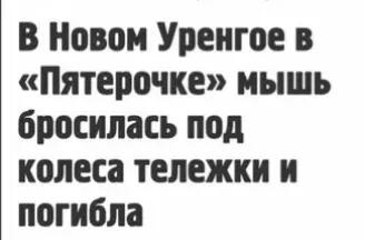 @Gemoklak