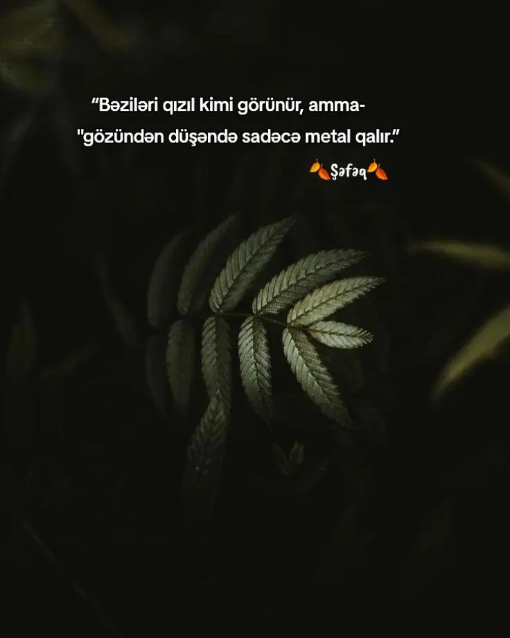 @🍂ŞƏFƏQ🍂