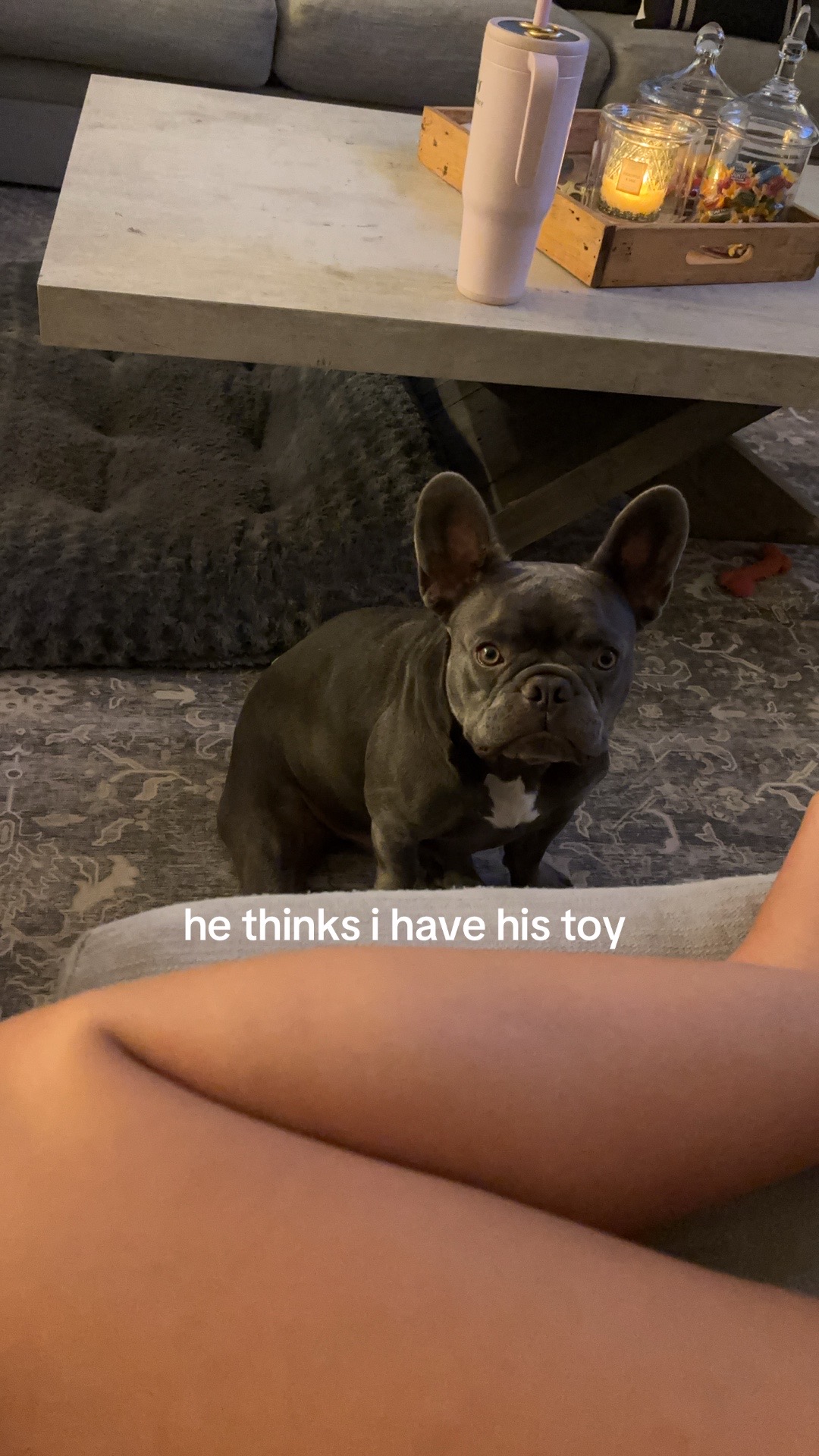 @KATE KRISTIAN