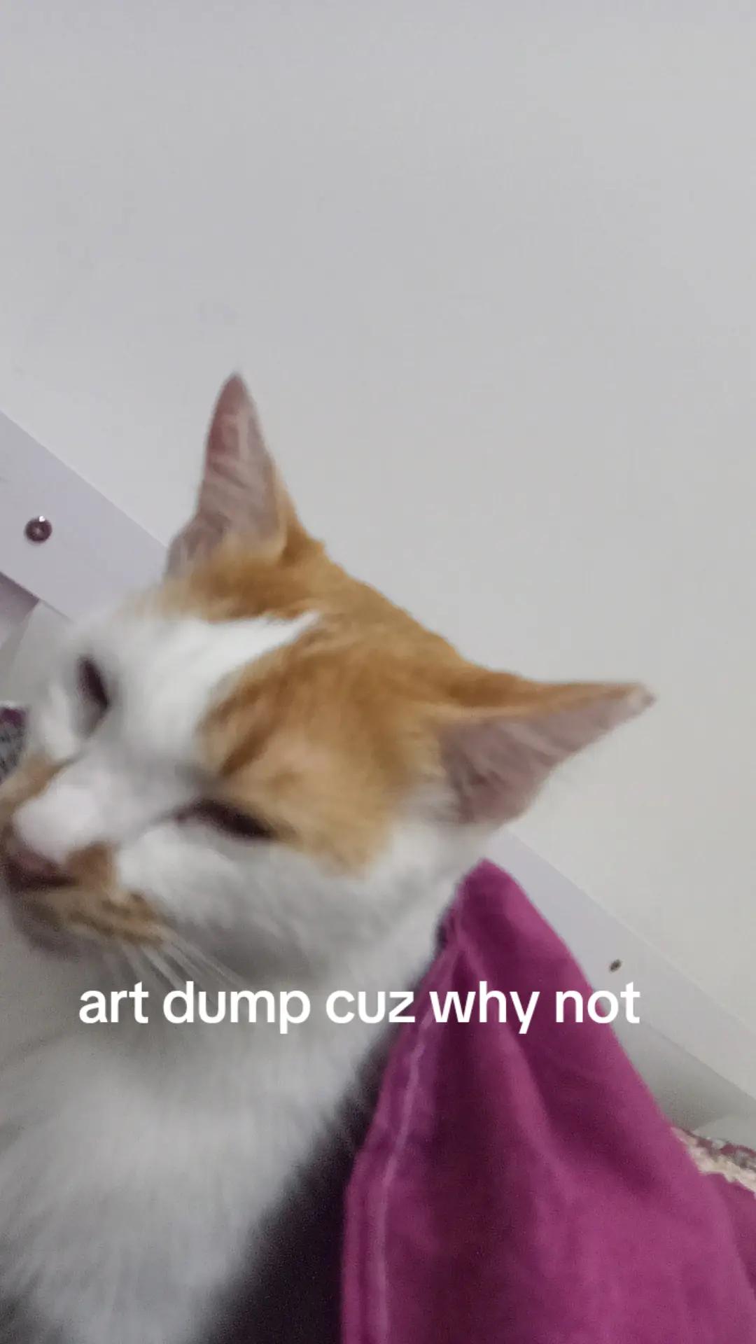 @waffletanggo