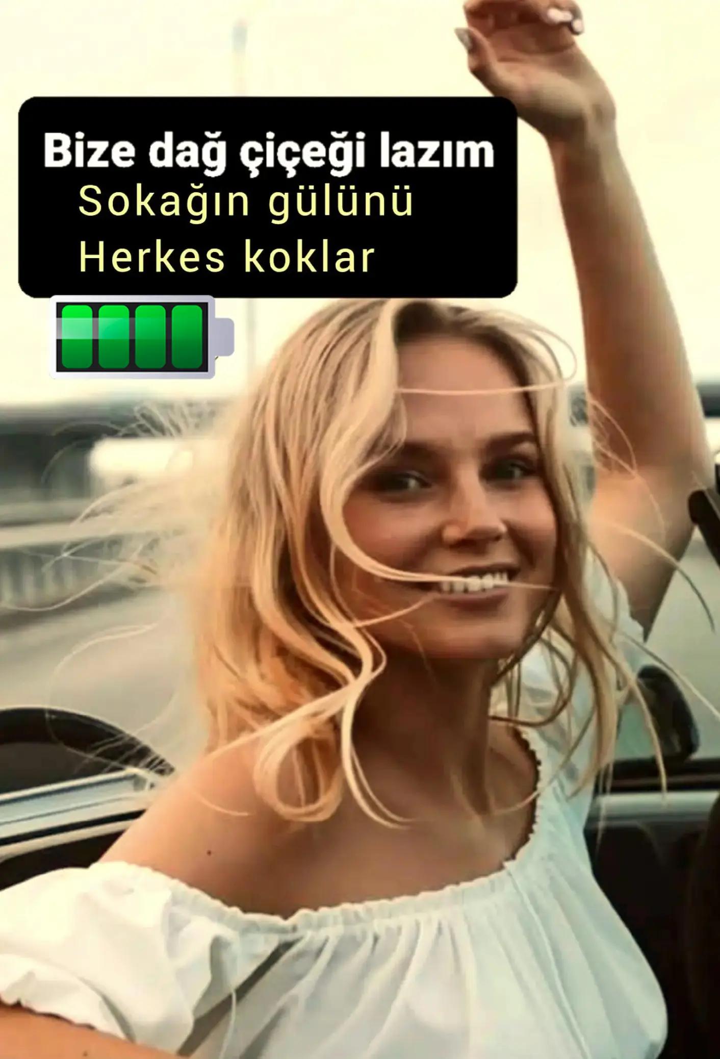 @İstanbul pati dunyasi