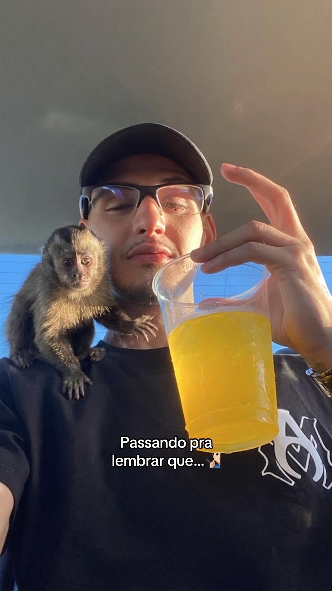@jottave 💯 elas