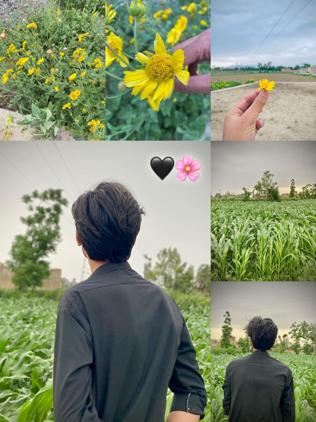 @𝘼𝙣𝙞𝙞𝙨𝙨𝙨 🌸