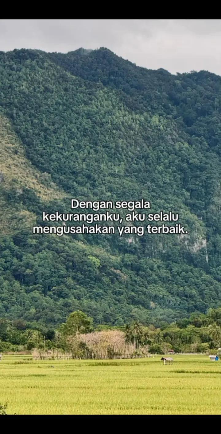 @H A N⚡