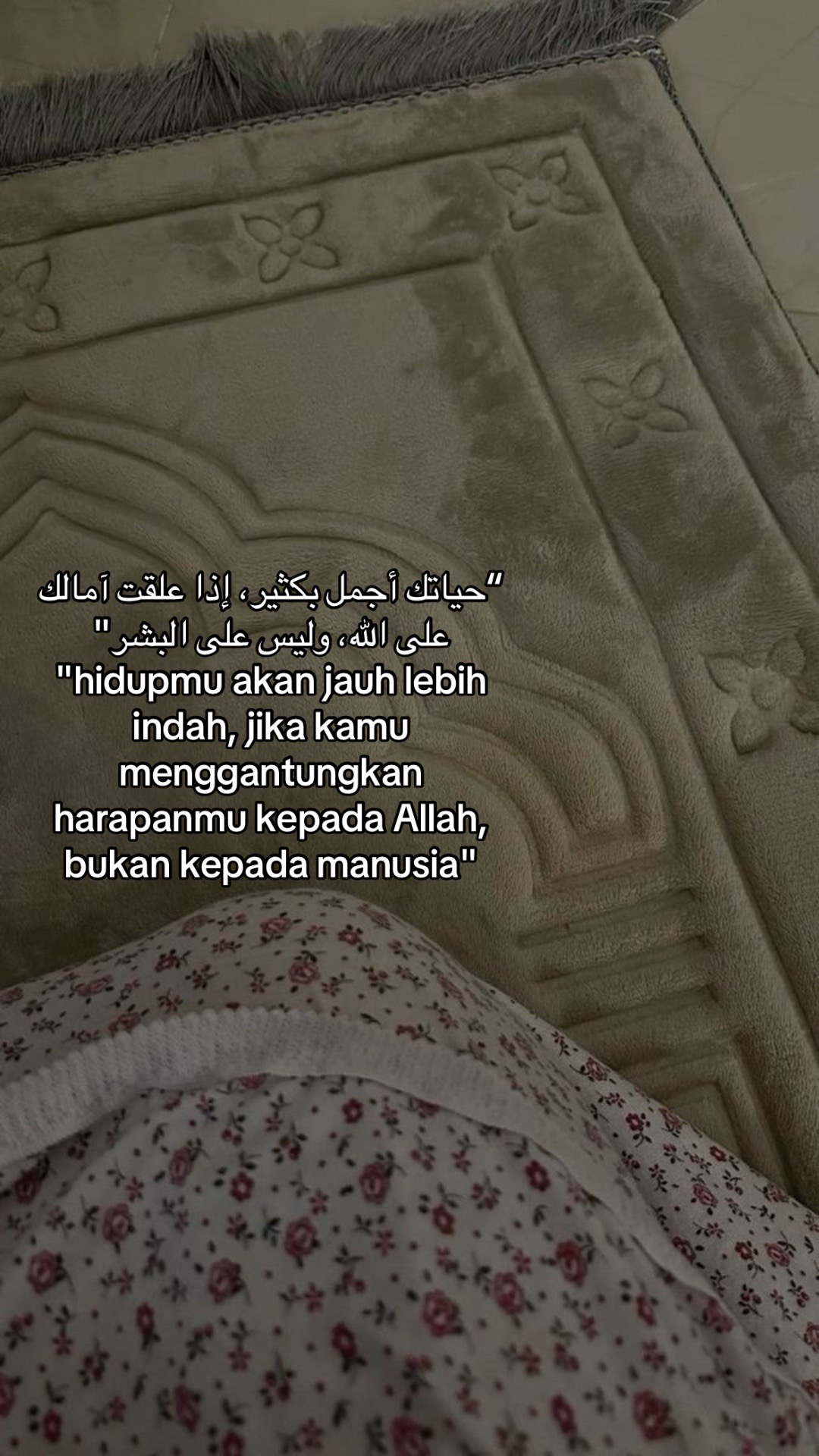 @𓍢ִ໋❀˚⋆