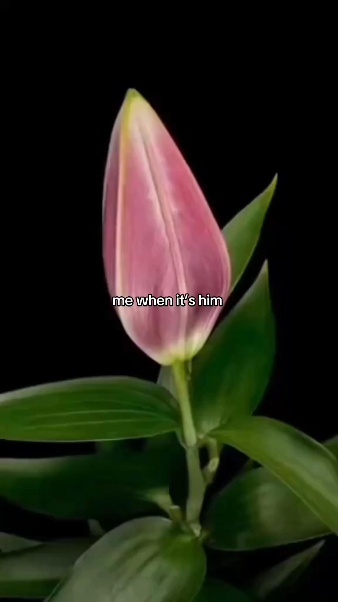 @๐ฎ๐ถ๐๐ถ๐ฝ