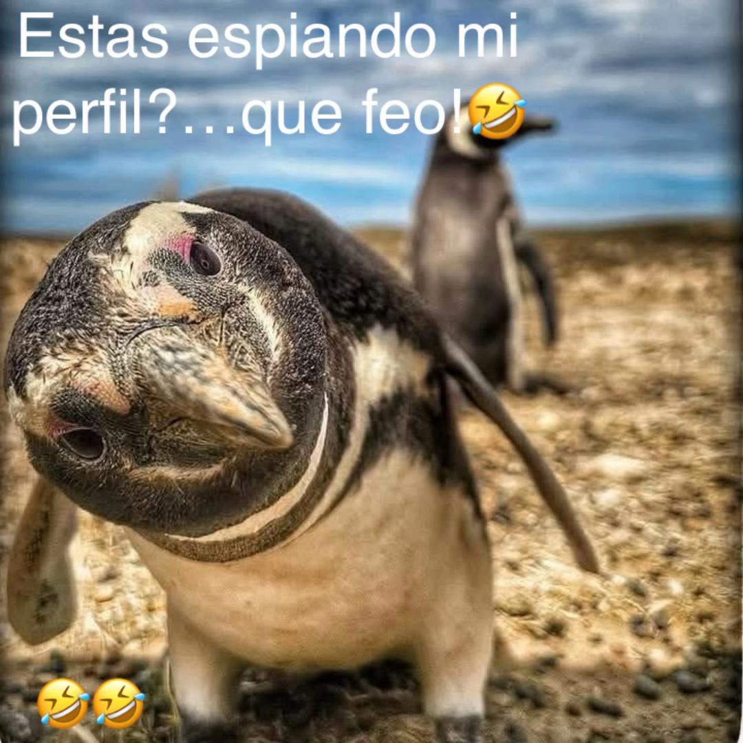 @Juan C. Torres