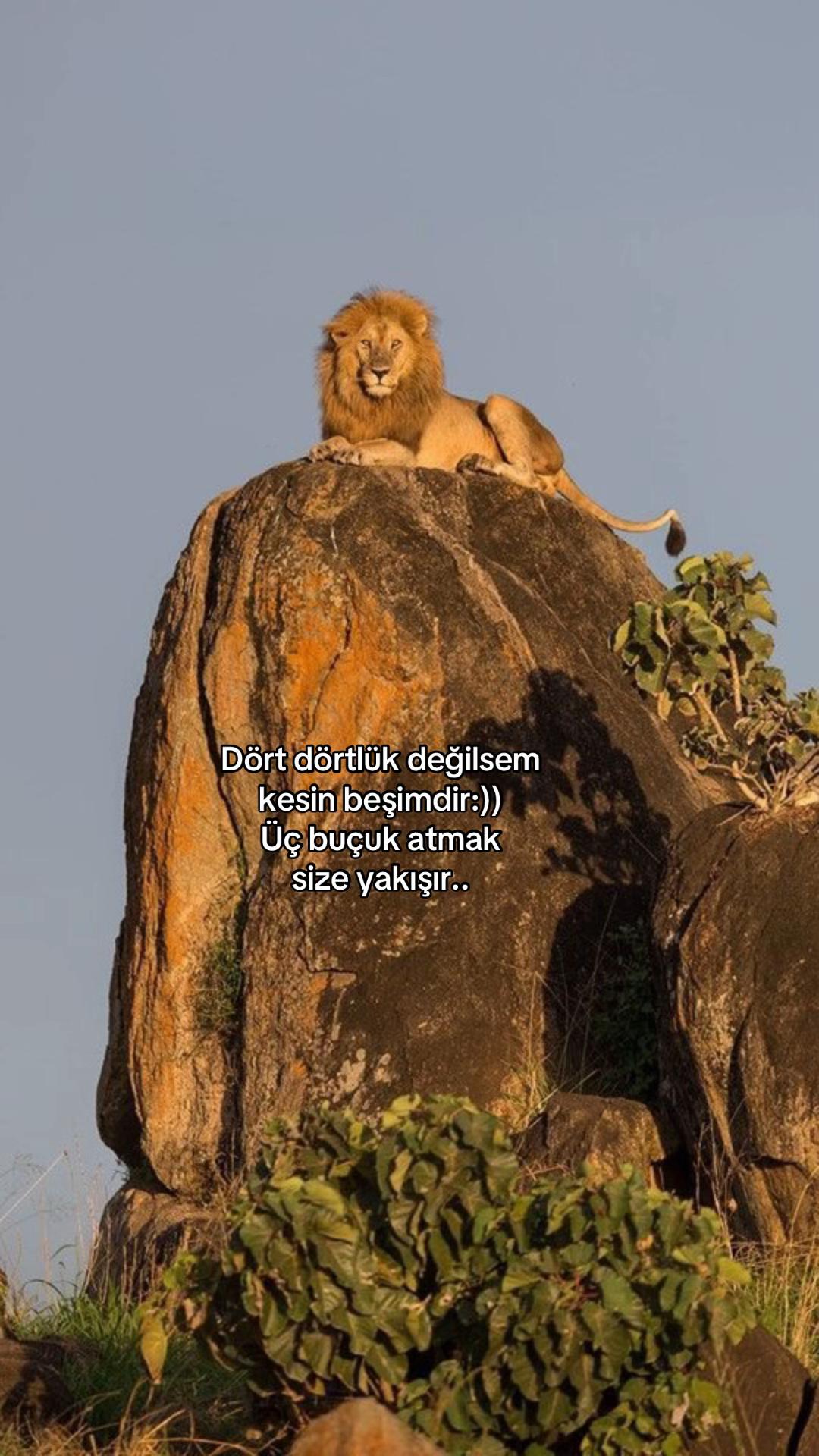 @Atarlı Kadın