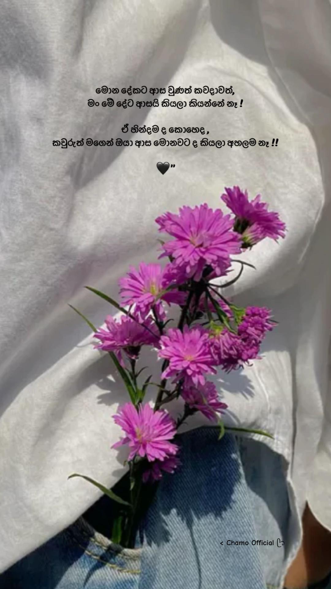 @< 𝐂𝐡𝐚𝐦𝐨 ᥫ᭡