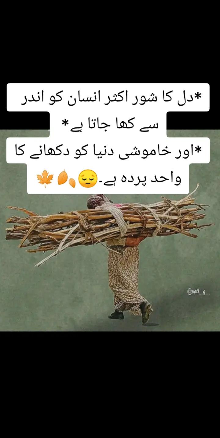@shehzadi g😎