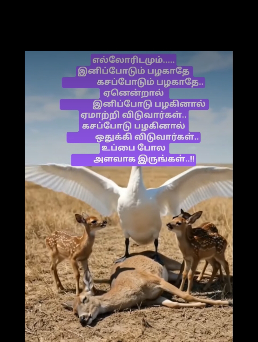 @Bama Krishna kutti
