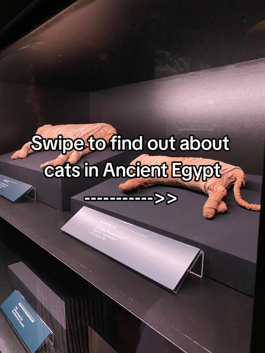 @History Buffs Corner