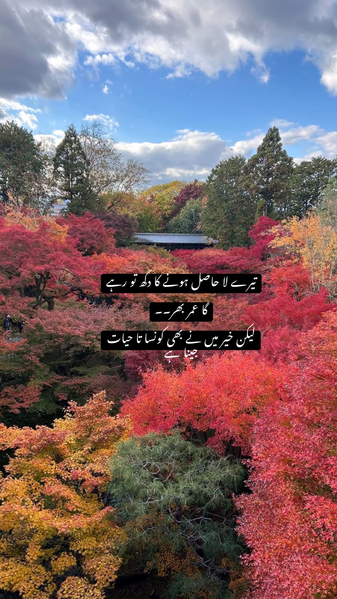 @☾✩⋆