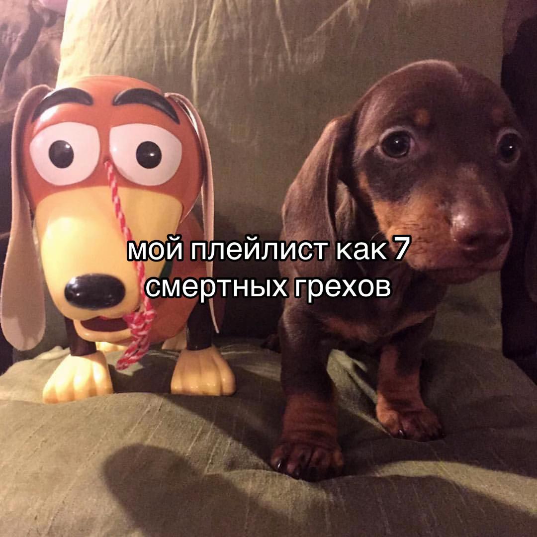 @apeekz3