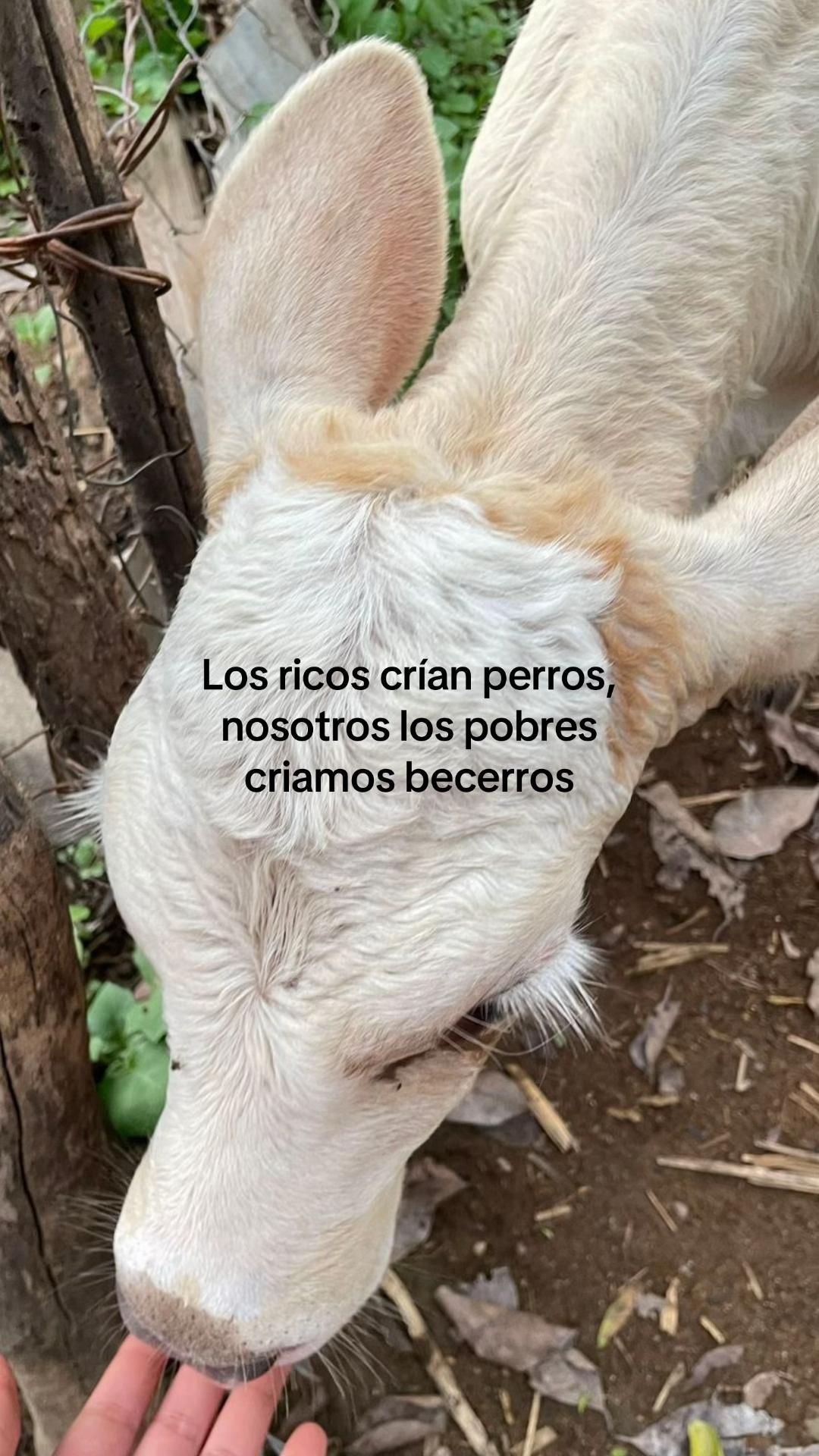 @Alo✧
