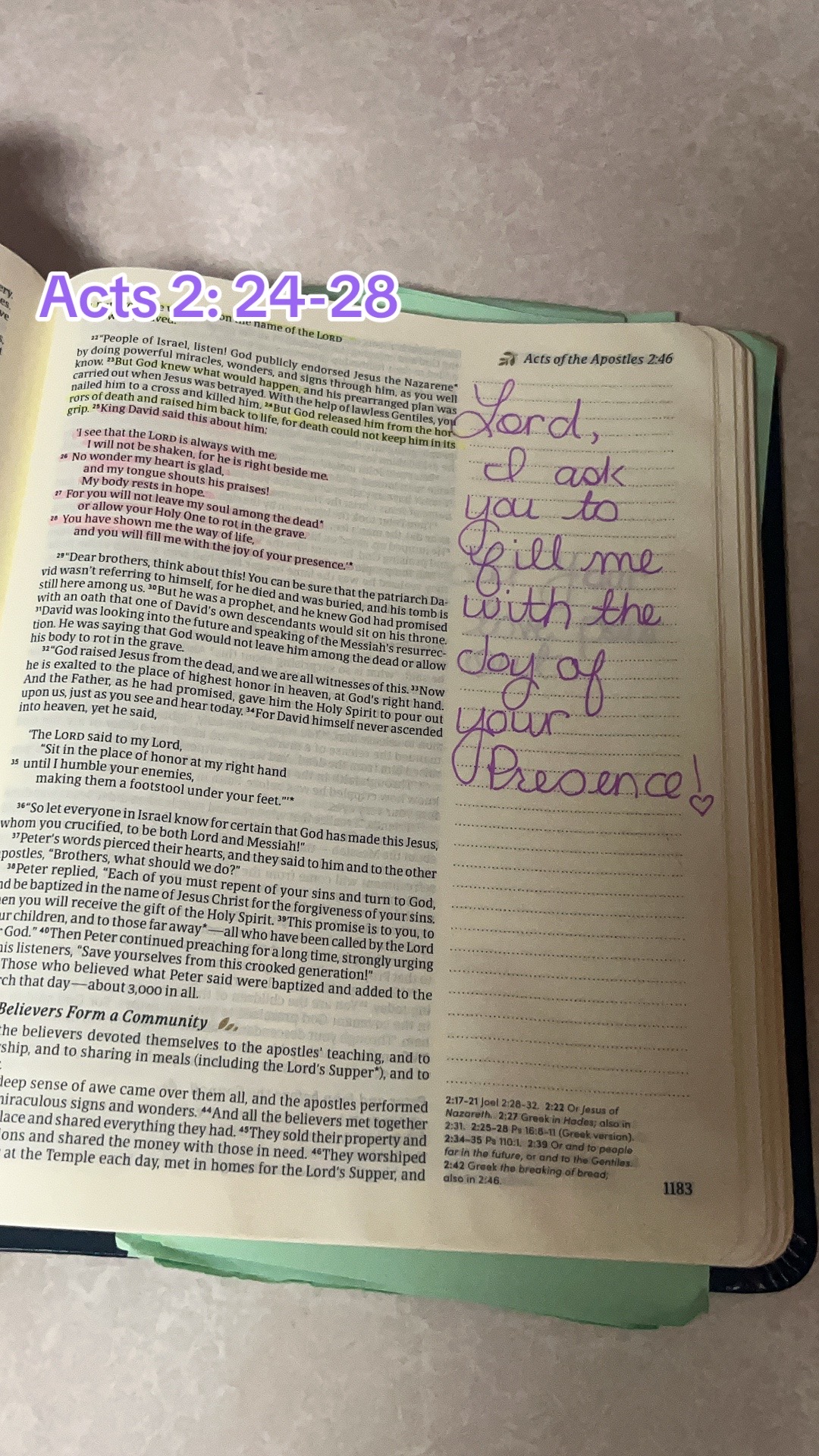 @Lisa Bogard (Bible Verse Lady)