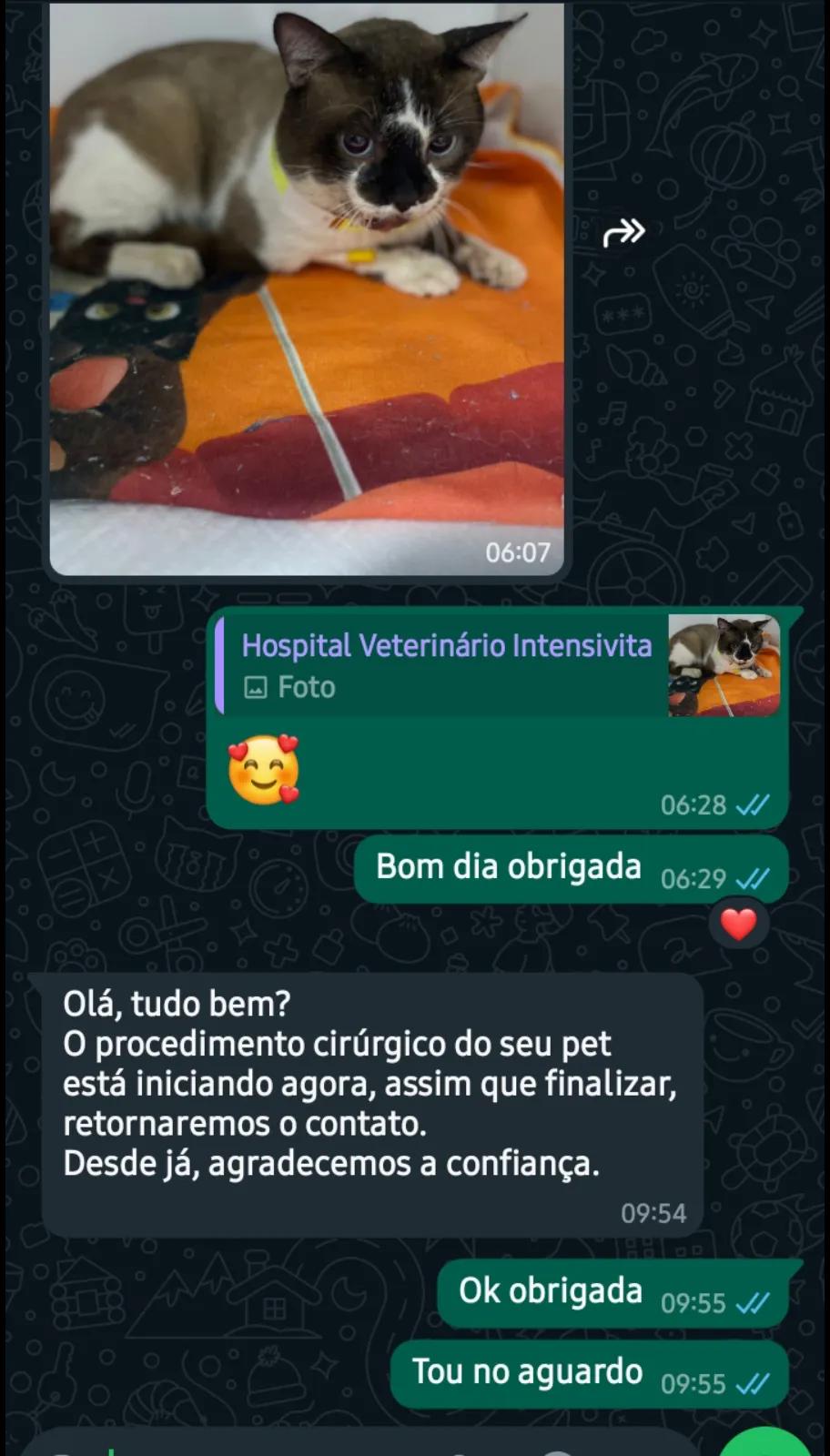 @Jacquellyne Carvalho
