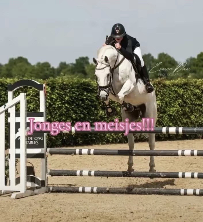 @allroundxgroep🩷🐴