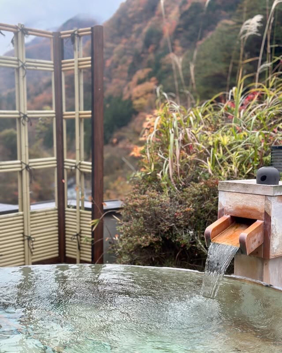 @いとう りか