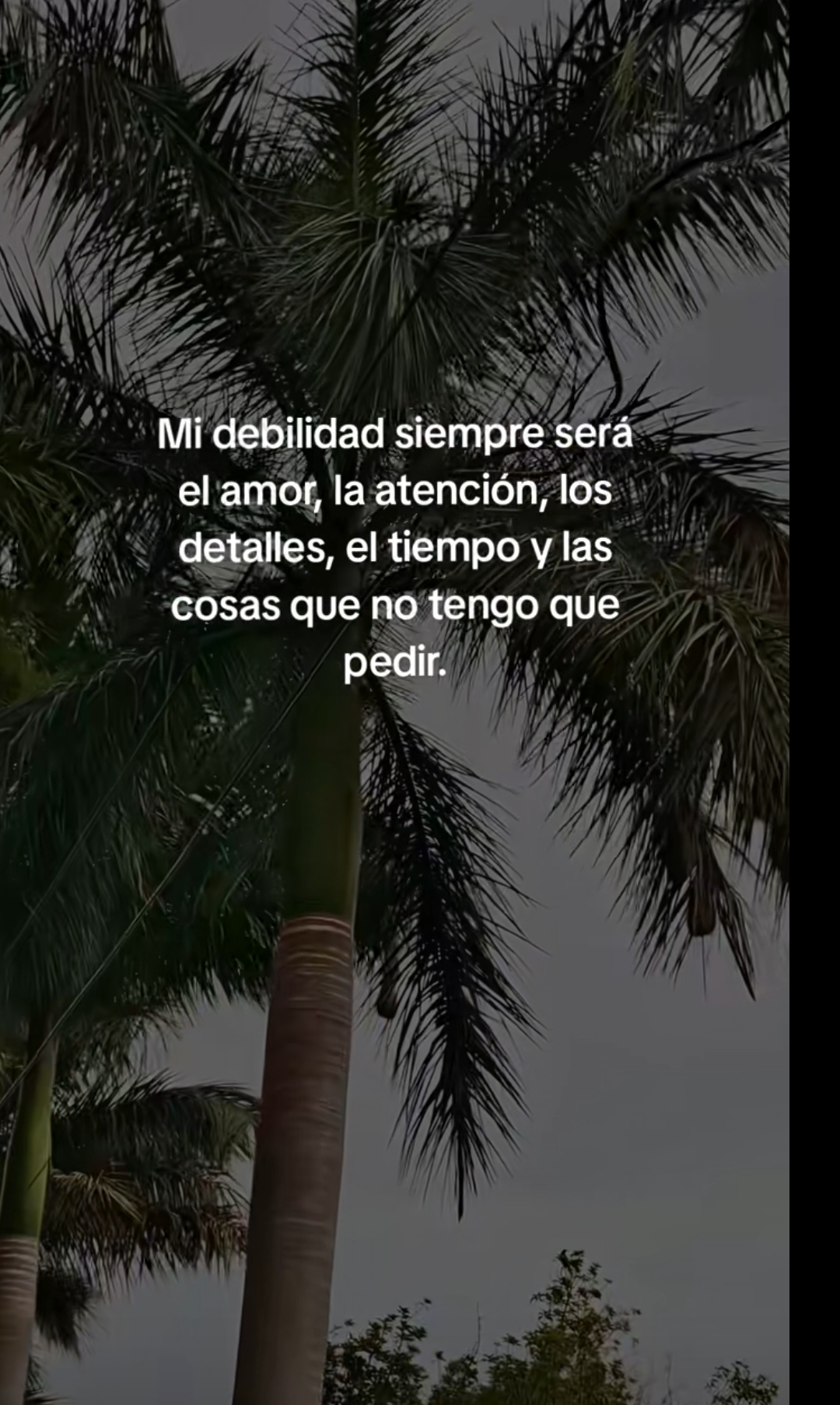 @marcelaKbaYro☺️