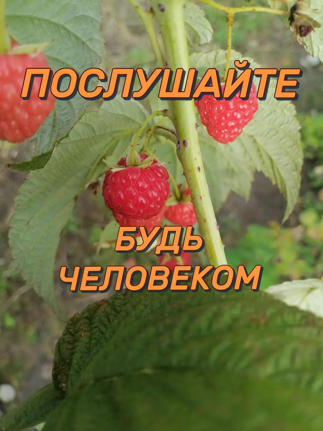 @Бусинка❤️