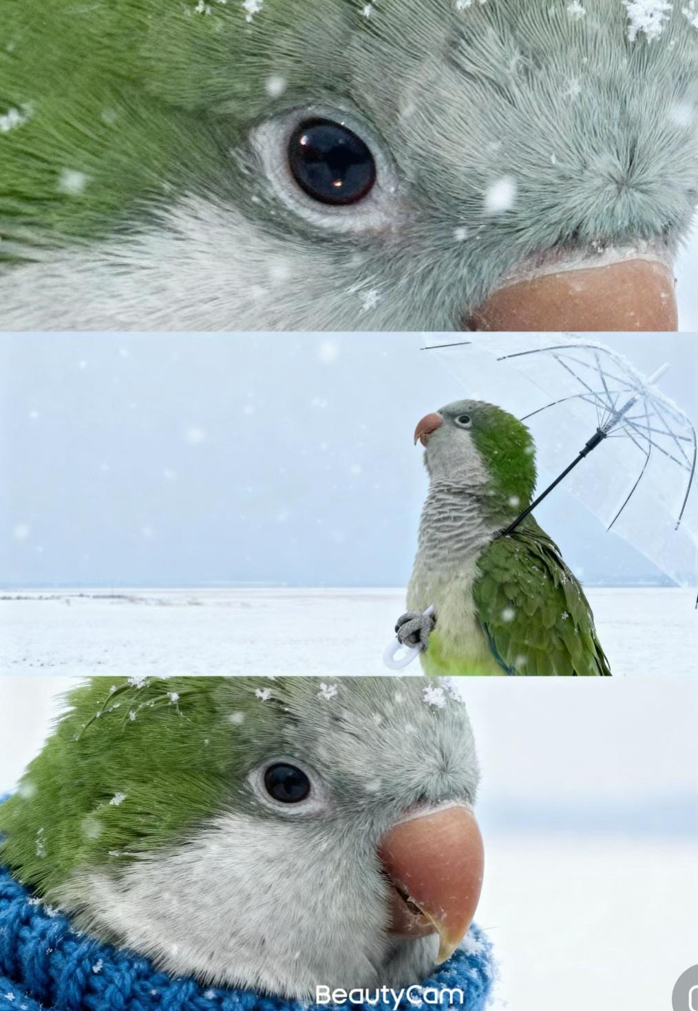 @大媽媽