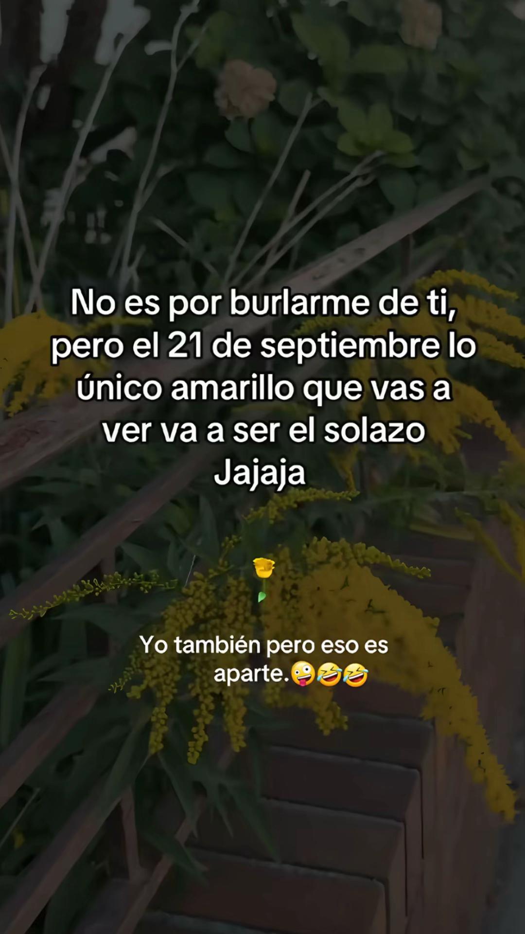 @°NeNa MeJiA°