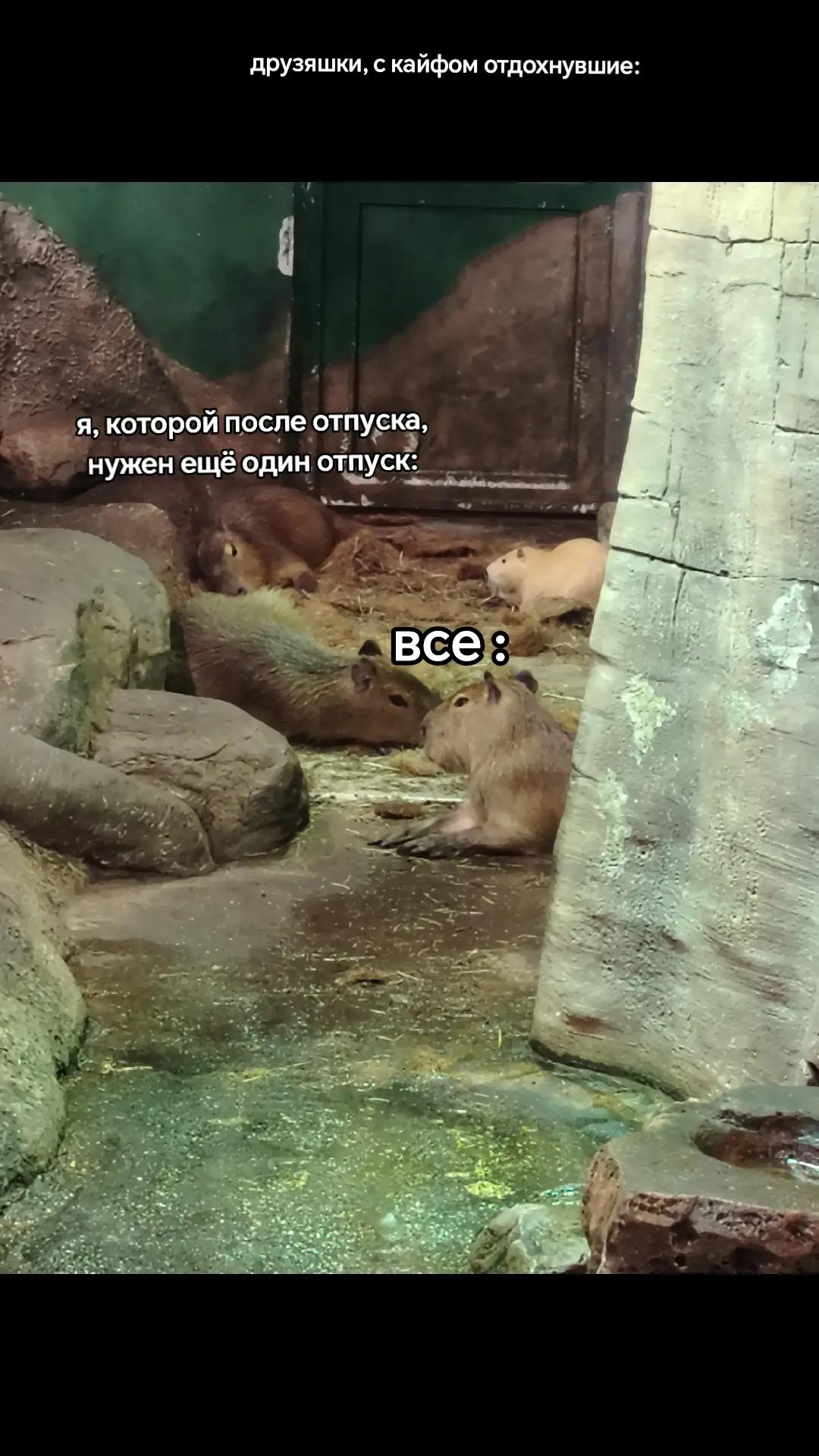 @а чё я то?
