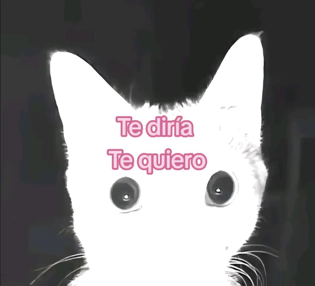 @ˑ 𓈒 𐔌🎀 𝐋𝐄┃𝐋𝐄ˑ🎀 ͡꒱ ۫