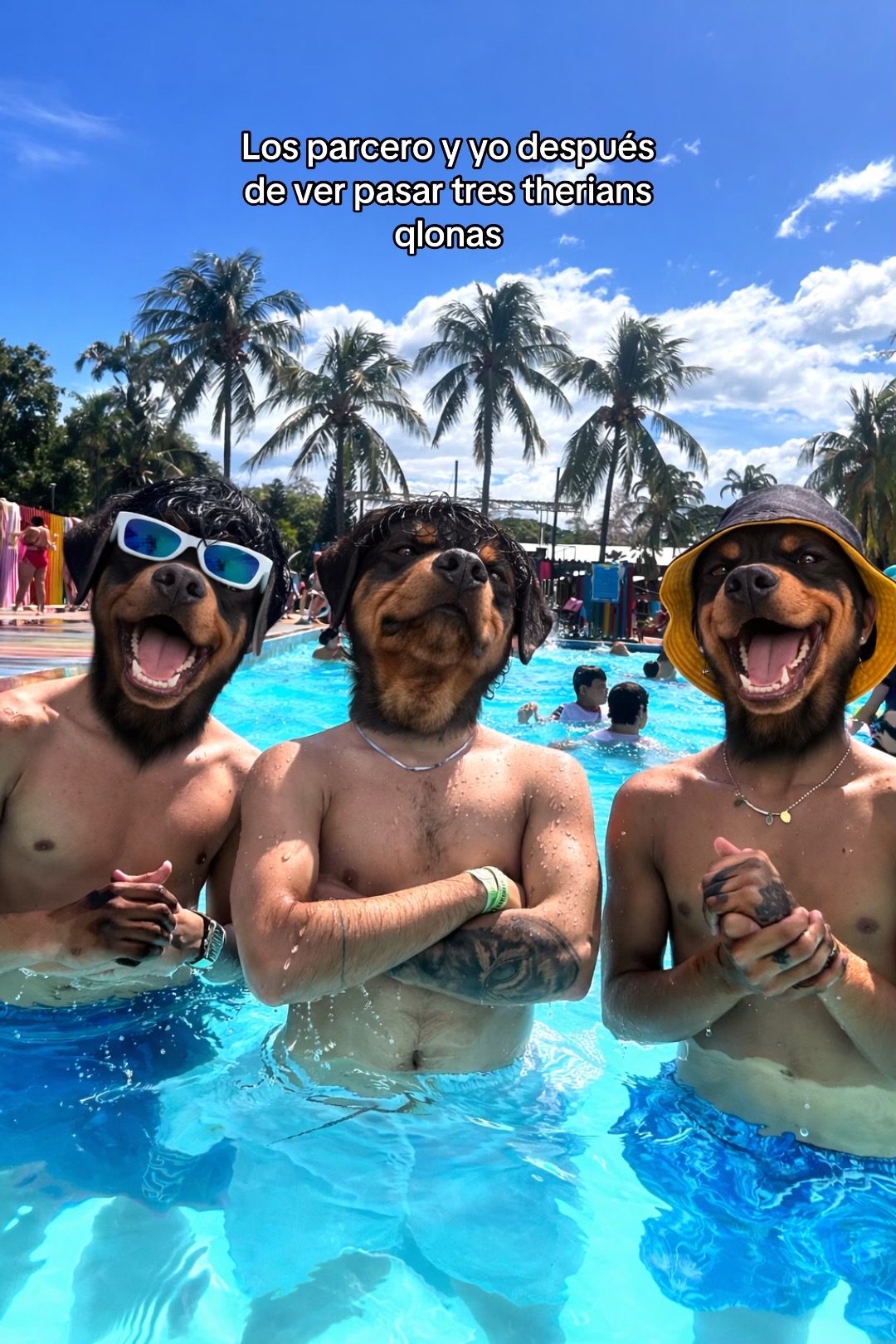 @🐺