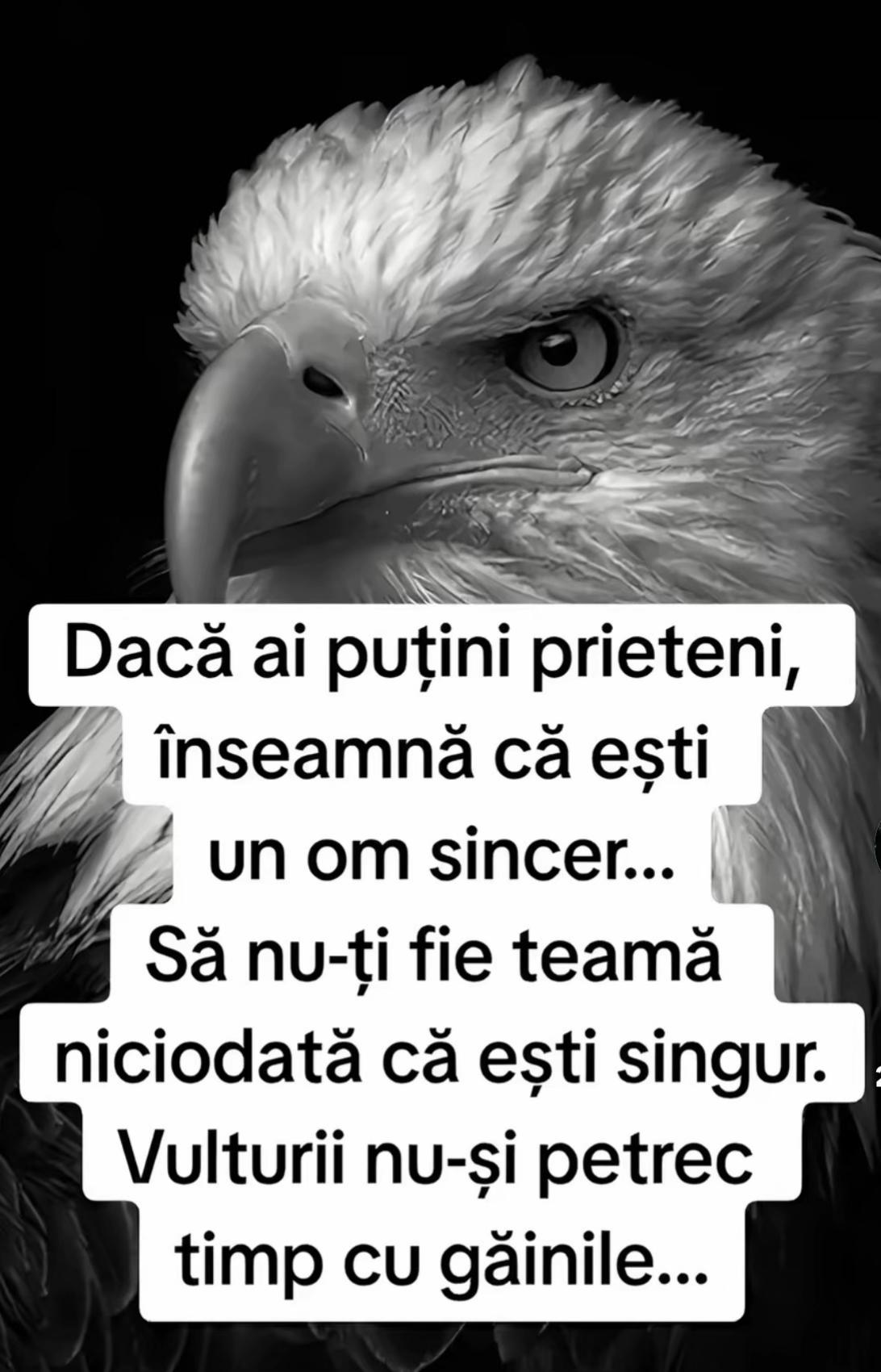 @Lavinia Matei