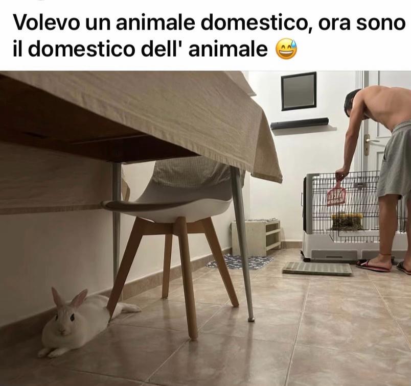 @❤️Gioia 746❤️