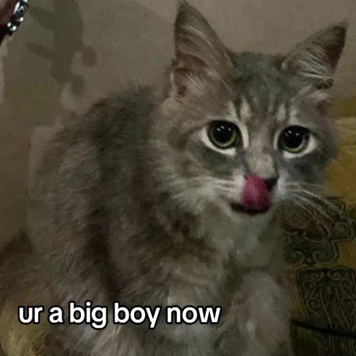 @K