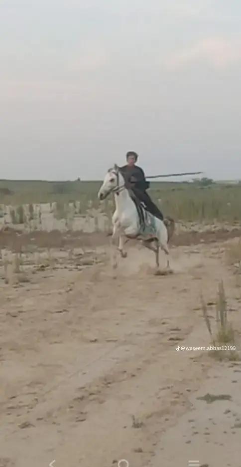 @Malikjaveed